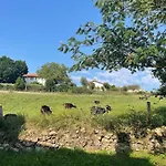 Holiday home El Molino De Mateo *