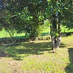 El Molino De Mateo * Ribamontan al Monte