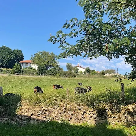 Feriehus El Molino De Mateo *