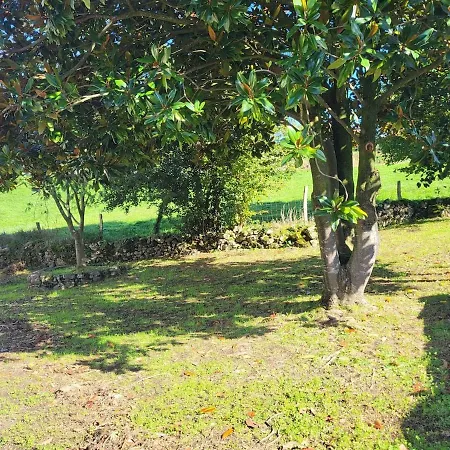 El Molino De Mateo * Ribamontan al Monte
