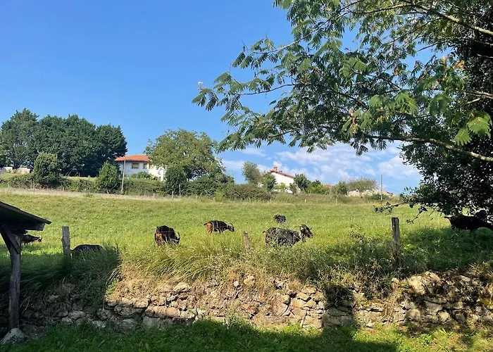 Casa vacanze El Molino De Mateo *